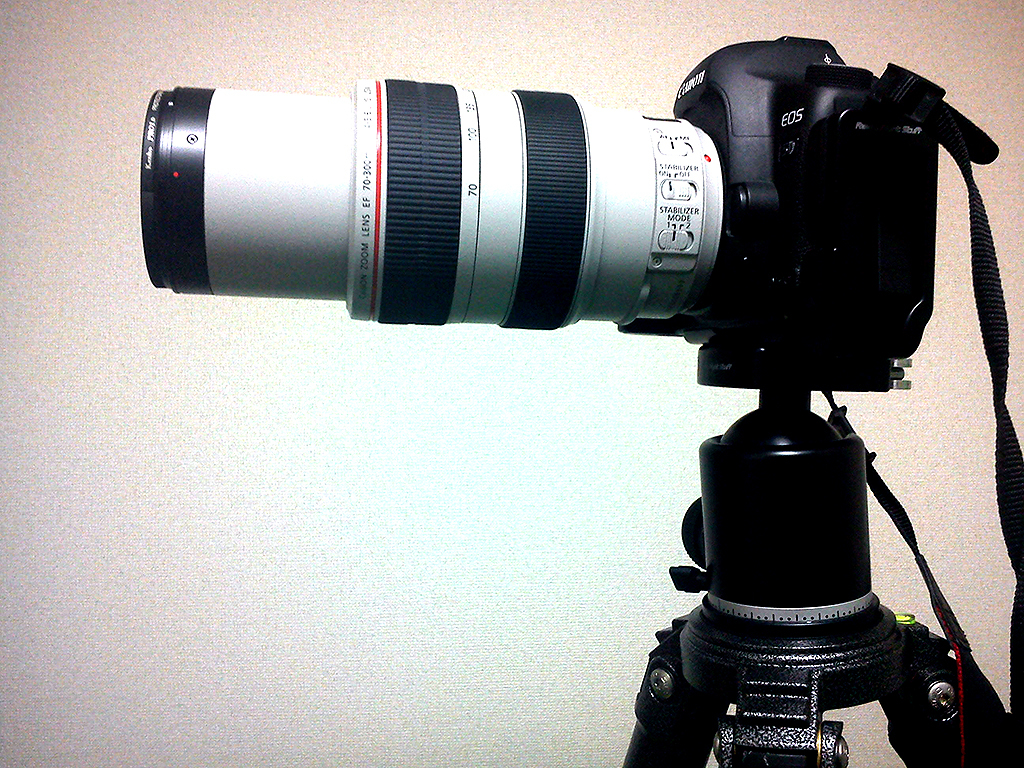 EF70-300mm F4-5.6L IS USM by shun_photo （ID：1537999） - 写真共有サイト:PHOTOHITO