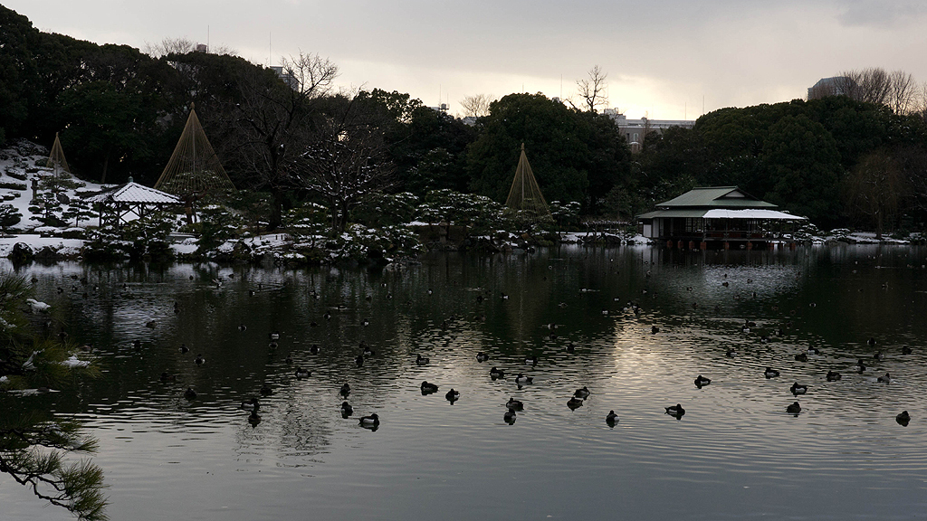 清澄庭園と雪