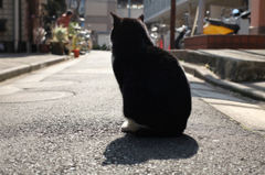 見つめて