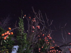 DSCN2056