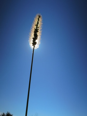 DSCN0523