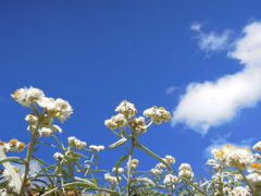 DSCN0565