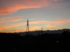 DSCN1979