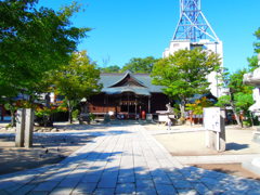 DSCN1923