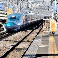 珍客あらわる　（Ｅ5系）