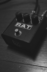 rat2