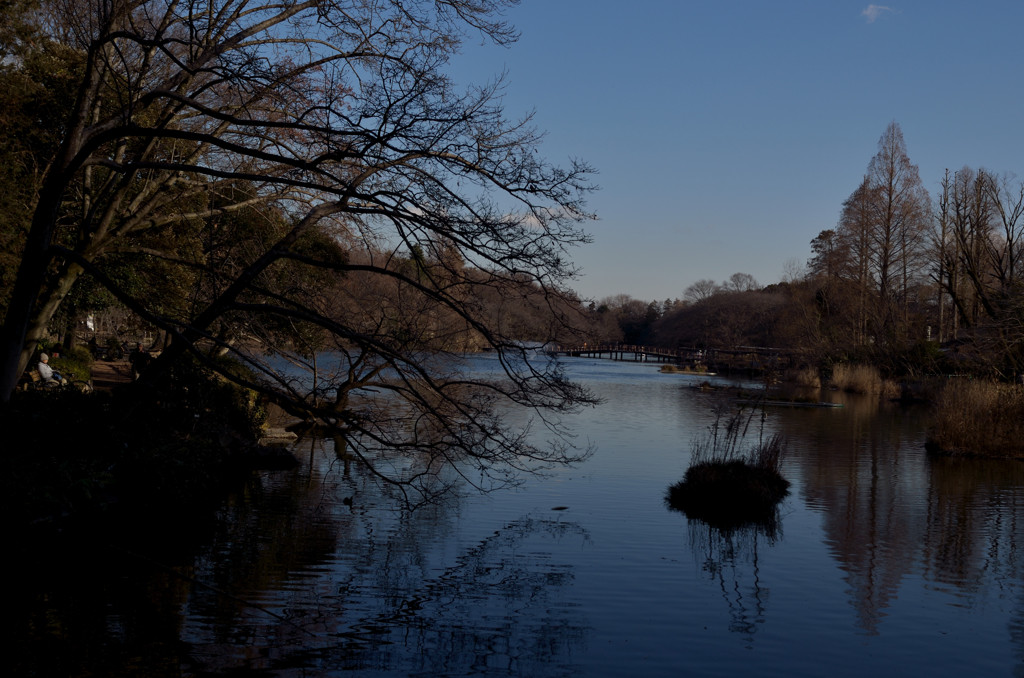 井の頭池