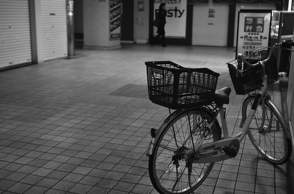 主人の帰りを待つ