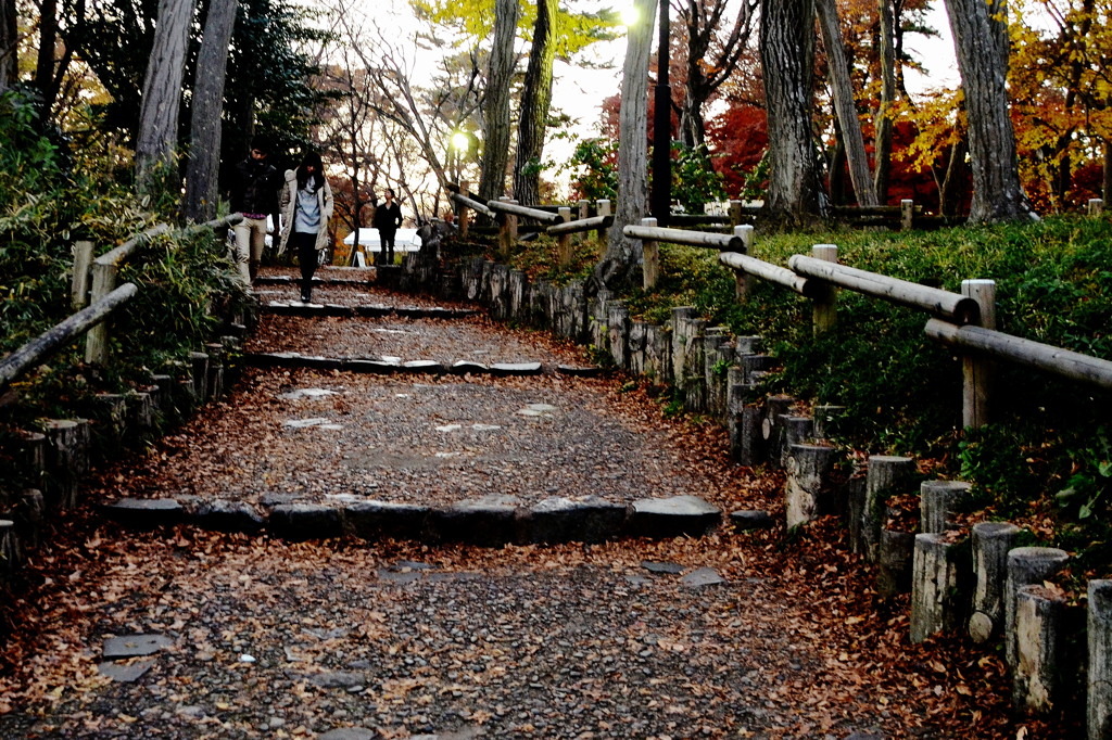 Love Will Tear Us Apart