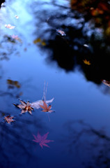 the end of the season