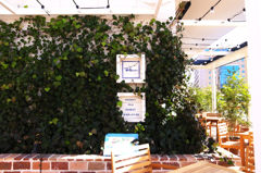 辻堂のロンハーマン