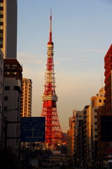 青看と東京タワー