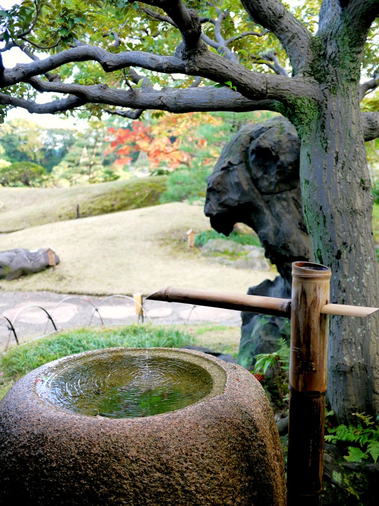 清澄庭園