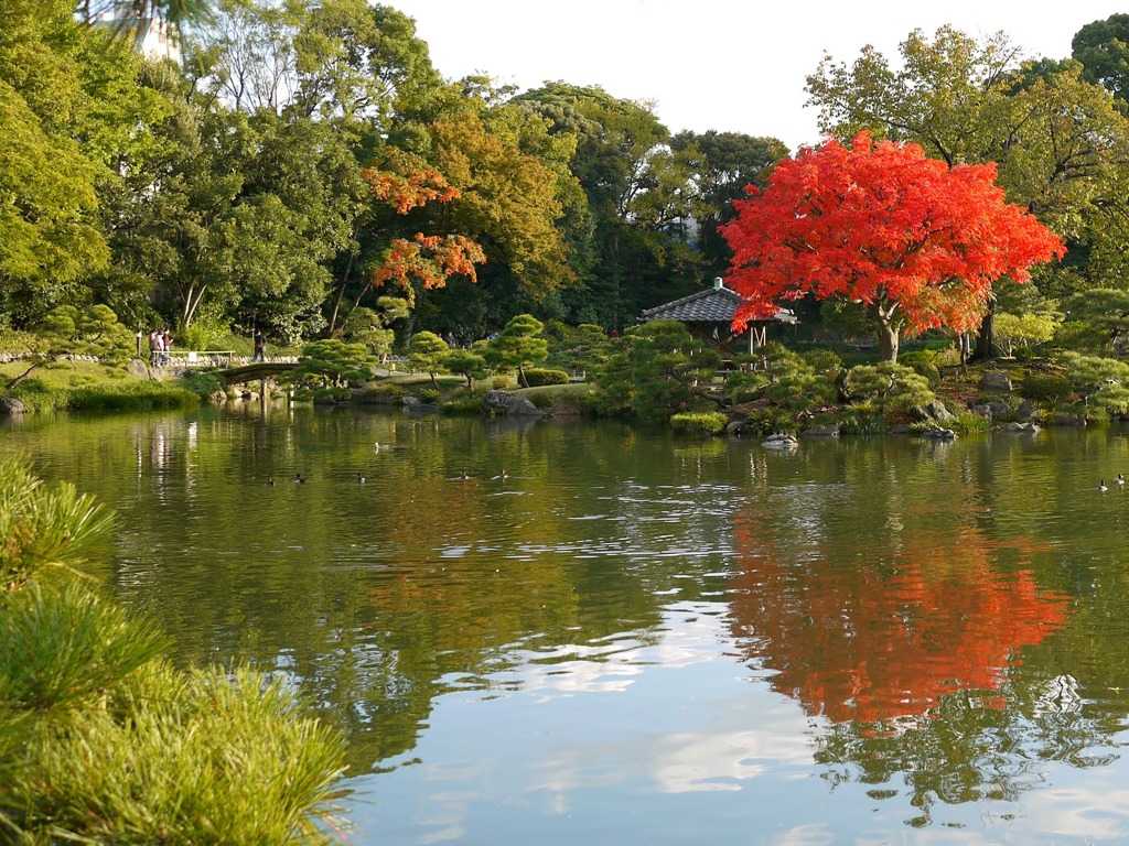 清澄庭園