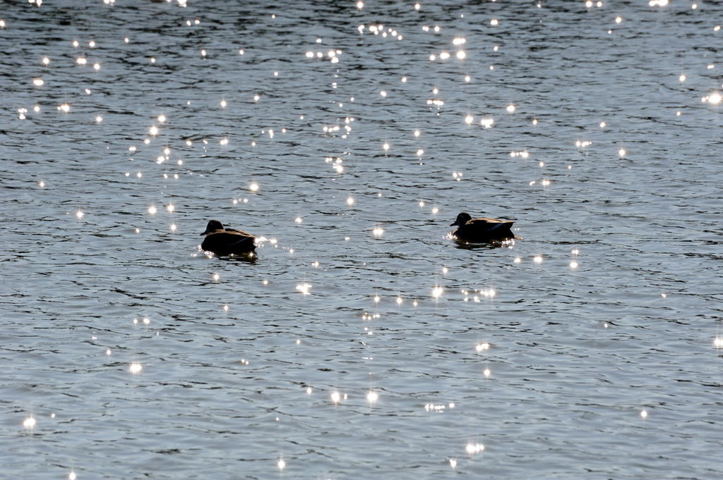 ちょっと旅に出てきます
