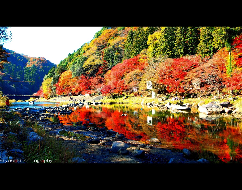 川沿いの紅葉