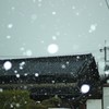 IMG_3082_R