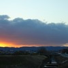 IMG_2964_R