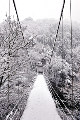 庄川峡　小牧ダム湖畔　湯谷橋