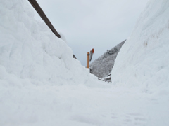 五箇山　ワンコ目線の雪歩道(^^ゞ