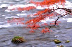 風　揺らぎ