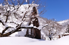 厳冬五箇山　暖かな雪景色♪