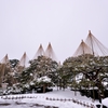 雪吊りの美