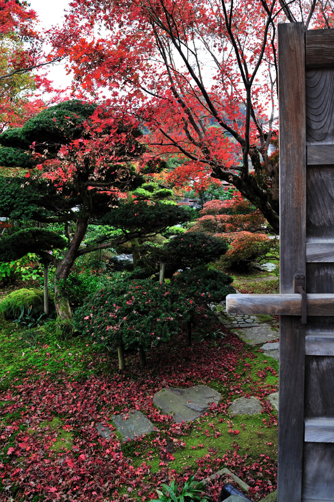 山中温泉　芭蕉の館　庭園