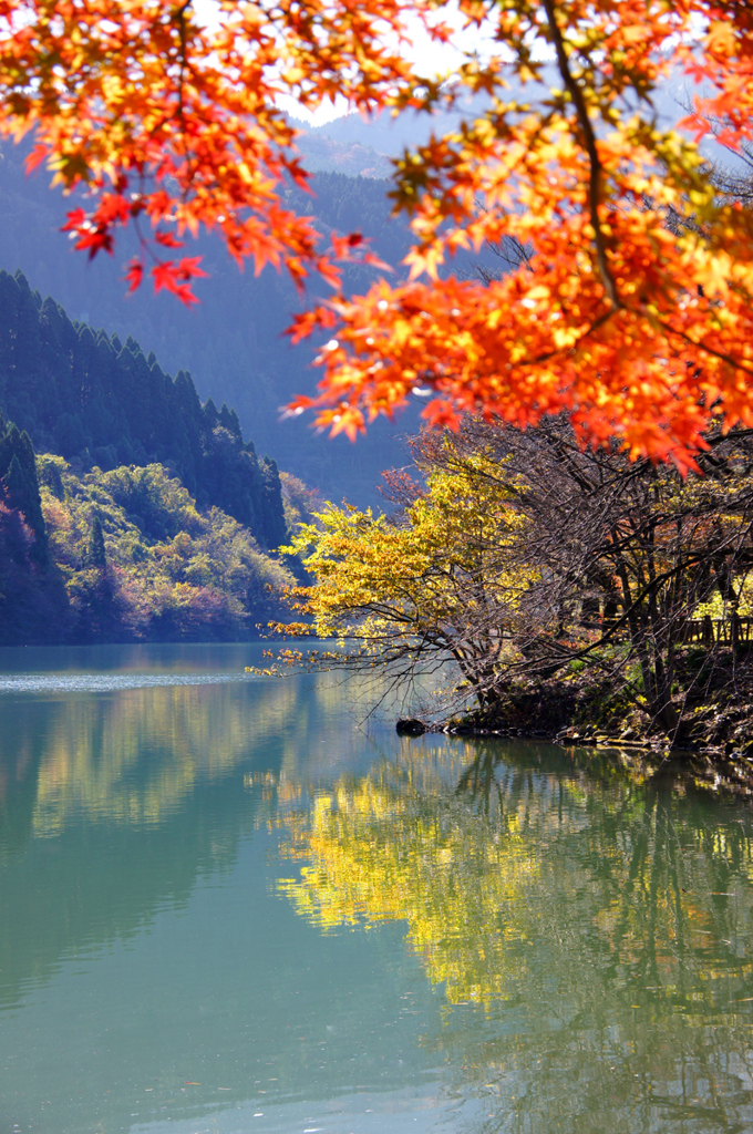 A late fall