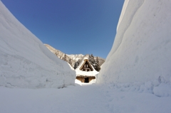 厳冬五箇山　雪壁の向こうに春が♪