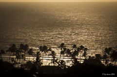 Sunset closeup Waikiki