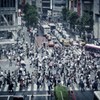 大都会