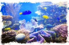 Waikiki Aquarium reef and fish2