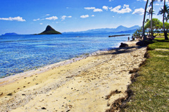 Hawaii Beach