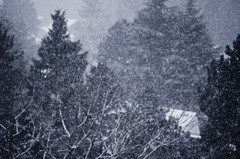 粉雪３