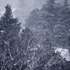 粉雪３