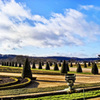 CHATEAU DE VERSAILLES