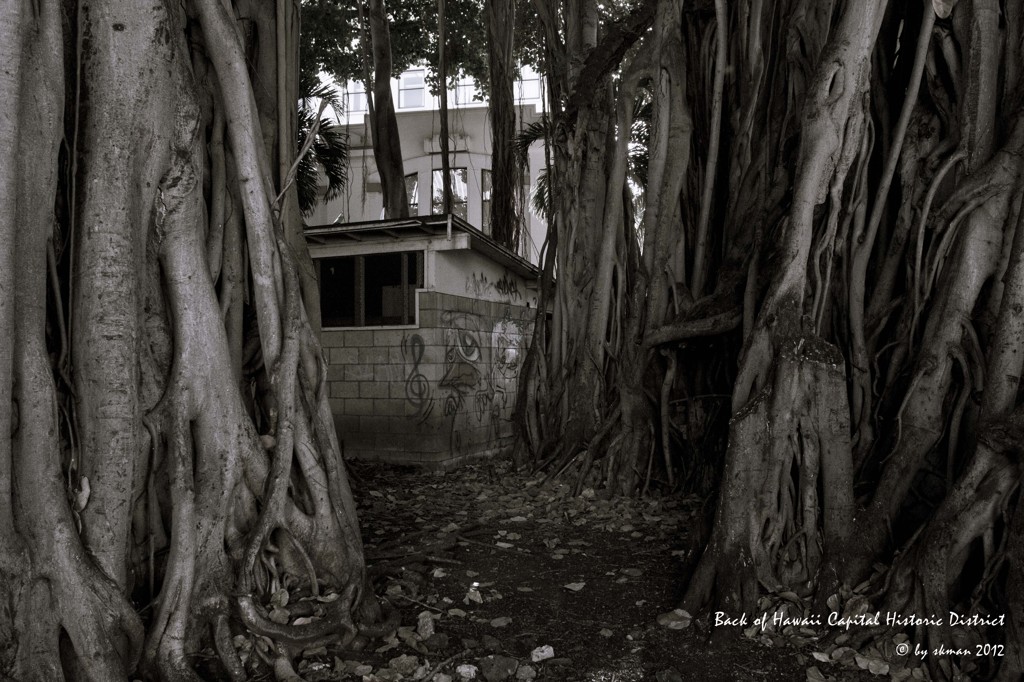 Back of Hawaii Capital Historic District