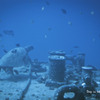 Deep in the Ocean