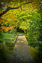 inazo-garden005