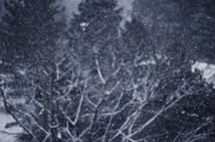 粉雪２