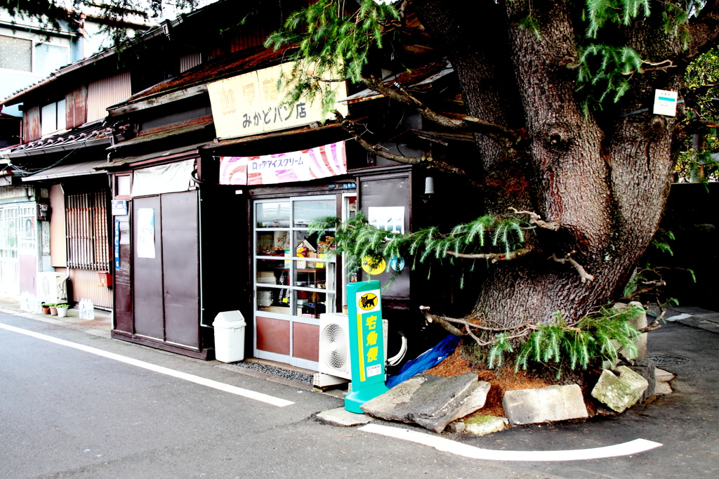 門前の店