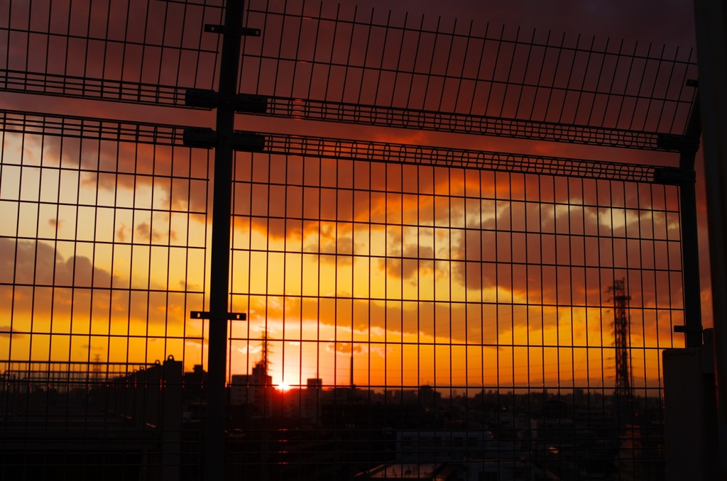 1月の夕日