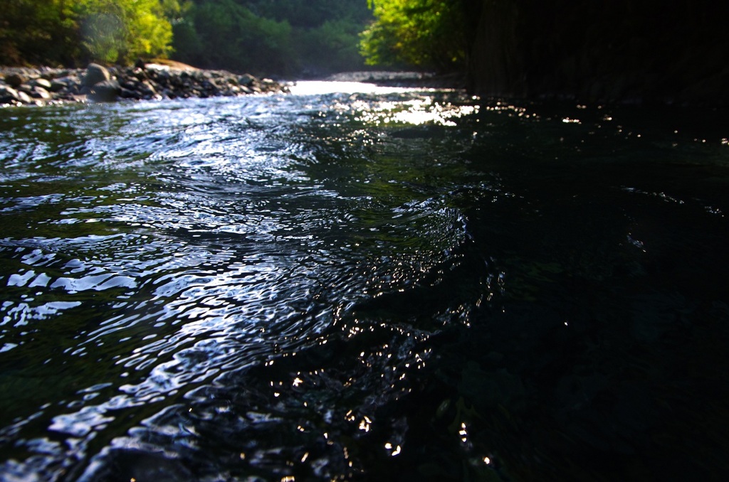 河川散歩