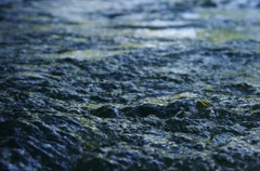 kawa-no-nagare