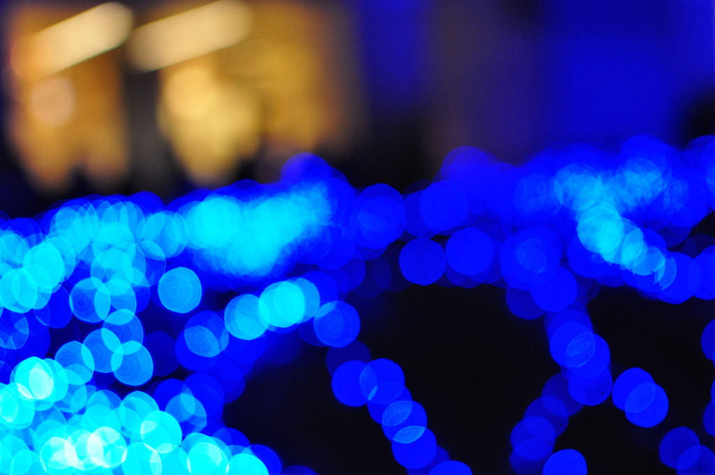 やってみました