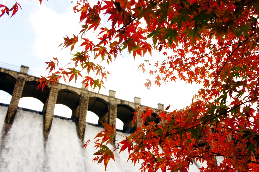紅葉の貯水池