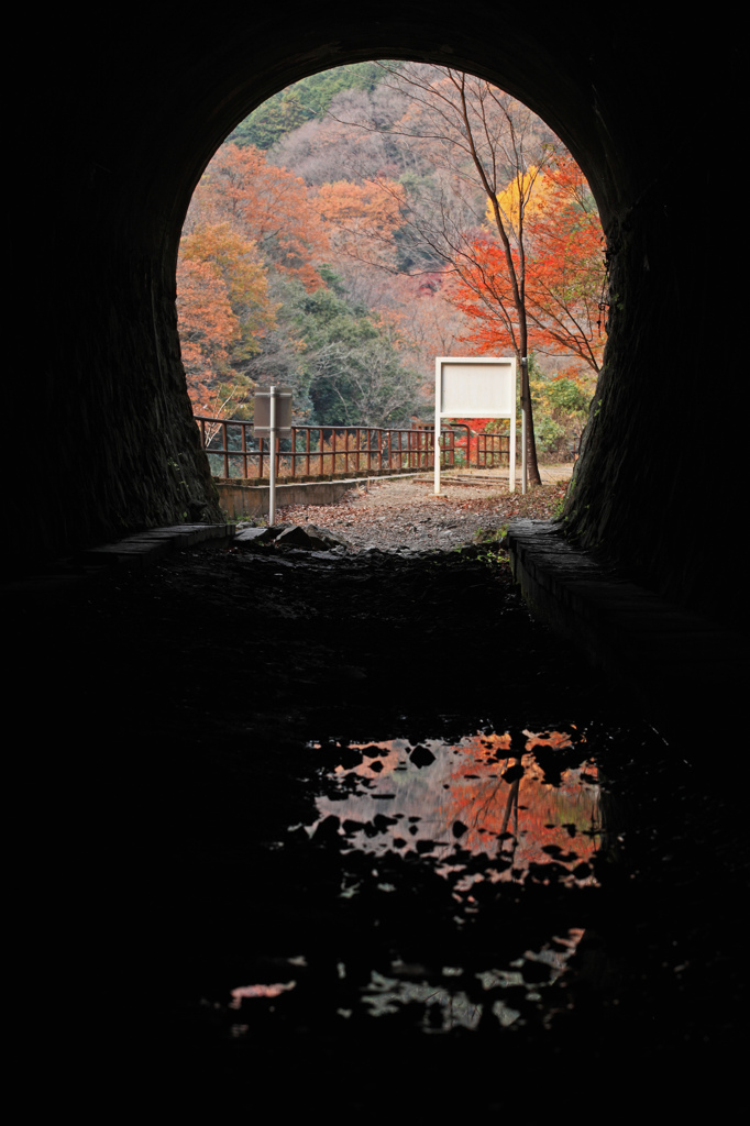 トンネルの先の紅葉を映して