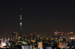 スカイツリーと東京タワー