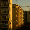 夕焼けに照る団地